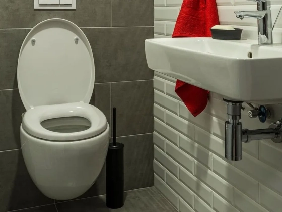 Ezt az egy dolgot soha ne felejtsd el, mielőtt lehúzod a WC-t – az egészséged bánhatja