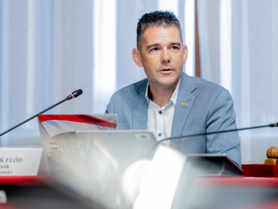 Elfogadhatatlanok a Tisza alkotmánybíró-jelöltjei a Mi Hazánk szerint