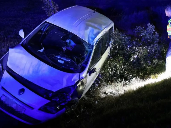 Őz ugrott az autó elé az 55-ös főúton, anya és kislánya is kórházba került - fotók + videó