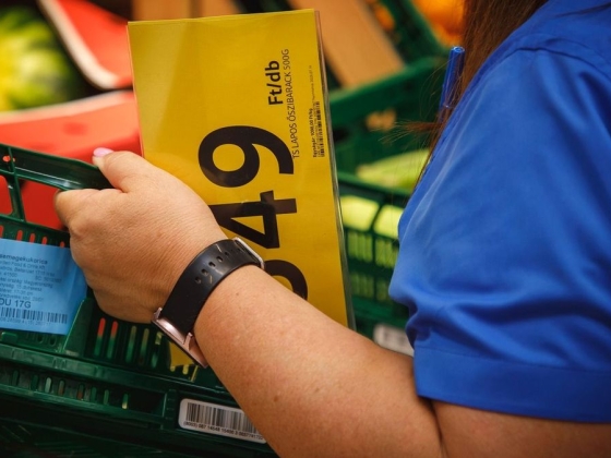 Vakon repül az élelmiszeripar: rossz elemzési modell miatt, nem látják a következő ársokkot