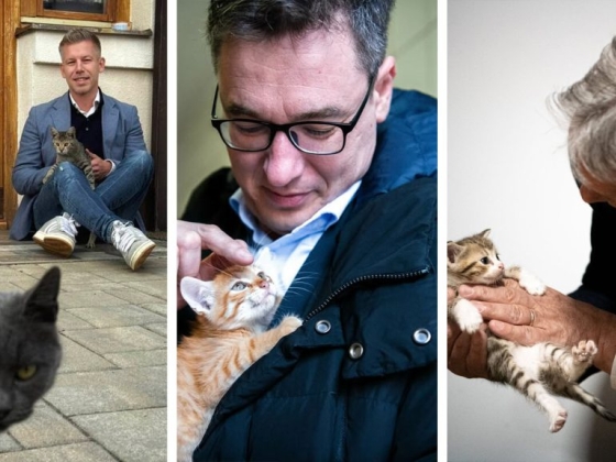 Jámbor András: A magyar közélet, ami végtelen kiscicát gyárt