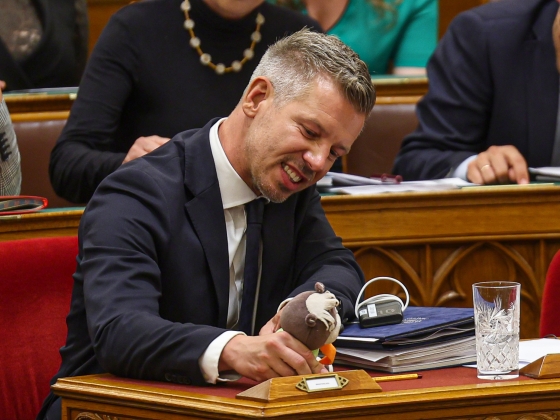 Magyar Péter helyett a TV Maci szavazott a parlamentben – Hihetetlen galéria!