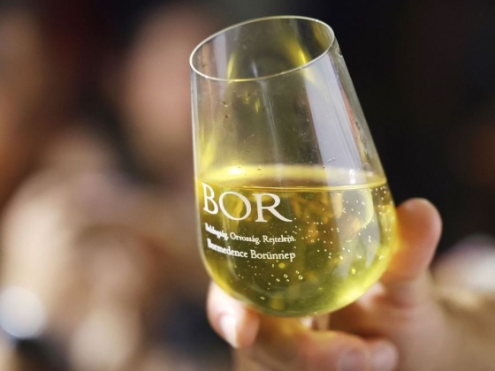 Keserű kijózanodás a magyar borpiacon: egyre kevesebb megy külföldre – közel ötmilliárd forint tűnt el az exportbevételből