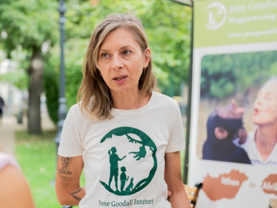 Készpénzre váltják a zöldgondolkodást: ezért spórol óriási összegeket a magyarok egy része