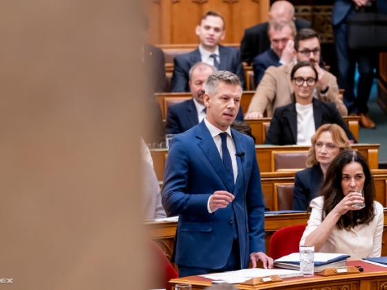 Magyar Péter kéréssel fordult Bóka Jánoshoz