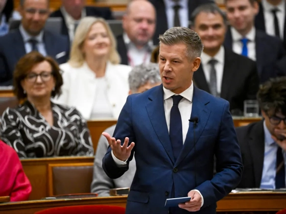 Magyar Péter nem azt látta Mészáros Lőrincen, hogy rettegne az önkénytől