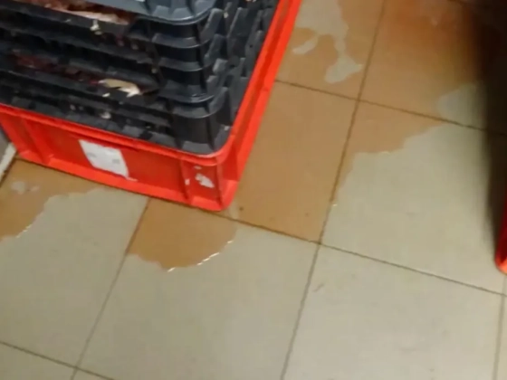 Repedezett mennyezet alatt, pangó víz mellett gyártották a gíroszhúst egy pesti üzemben, bezárta a Nébih