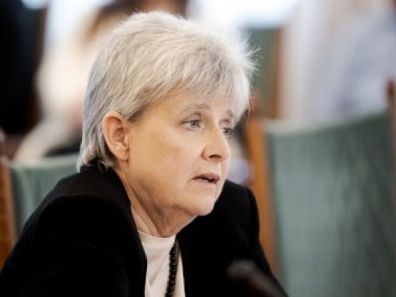 Lannert Judit: A közösségi média a középosztálybeli gyerekeket is lebutítja