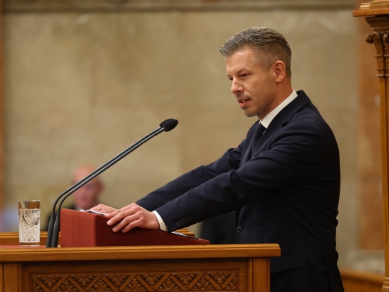 Ehhez már védősisak is kellett, fontos bejelentést tett Magyar Péter - Fotó