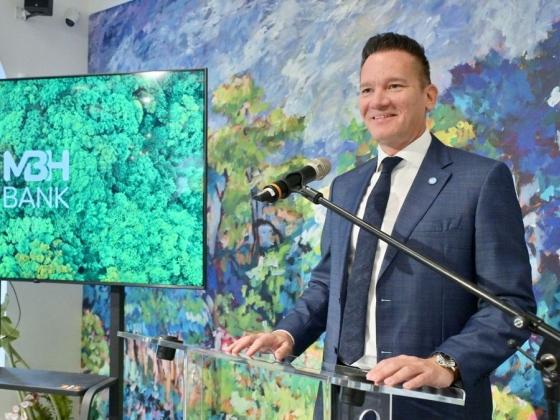 A természetbe fektet az MBH: erdőtelepítés és vízmegtartás a WWF-fel