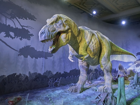 Melegvérűek voltak a Tyrannosaurus rexek