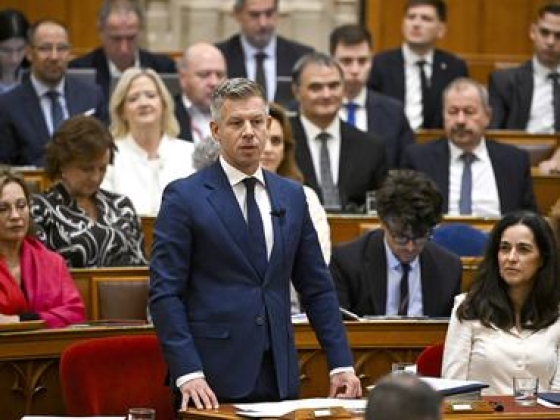 Magyar Péter döntésére minden volt és leendő politikus zsebébe belenézhet a NAV: nem lesznek kastélyok és cégbirodalmak