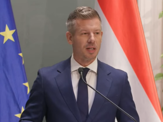 Magyar Péter elmondta, mi volt a probléma a kamarai hozzájárulással