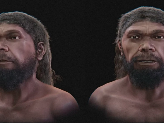 Elkészült a legősibb ismert Homo sapiens arcának rekonstrukciója