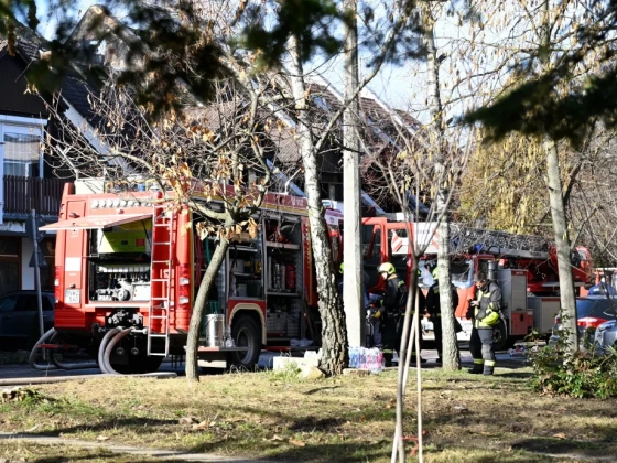 Tűzoltóautókat törtek fel Budakeszin, közel 700 ezer forintnyi felszerelést loptak el