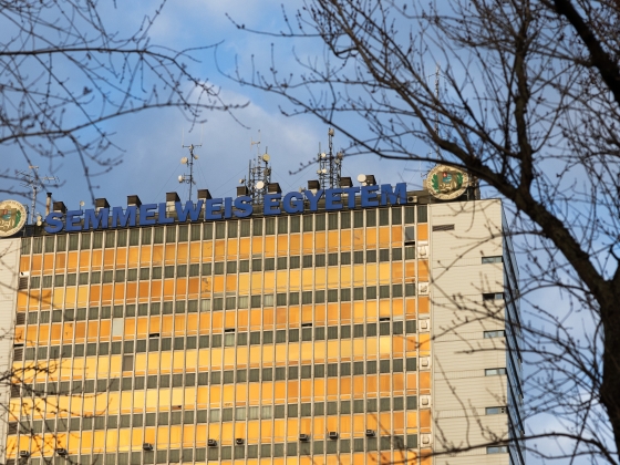 Elkészült a rangsor – Világszinten is a legjobbak között a Semmelweis Egyetem