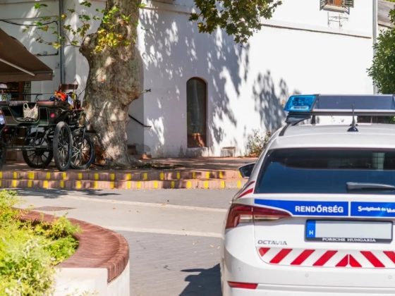 Hintóval elszabadult lovak hajtottak a tömegbe Kiskunfélegyházán, többen is megsérültek