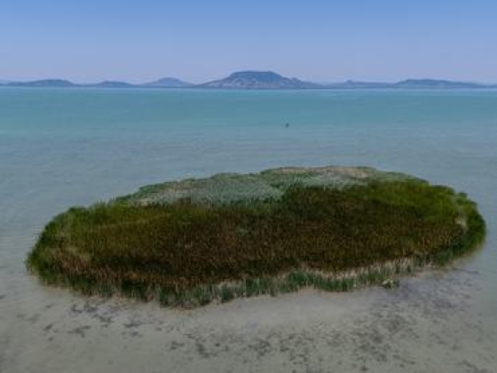Elfogy a Balaton: folyamatos az apadás