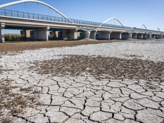 Rá sem lehet ismerni a Tisza-tóra – megdöbbentő fotók készültek