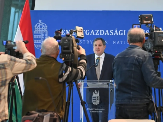 Állami garanciát tettek egy rakás magyar cég gigahitelei mögé, és ez mindannyiunknak fájhat, ha a NER-cégek lejtőre kerülnek